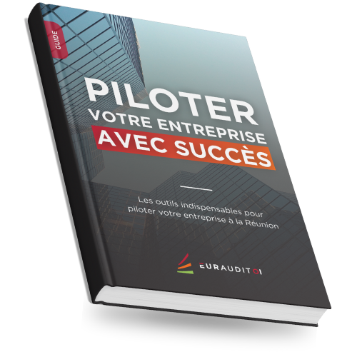 Euraudit Guide Pilotage Entreprise