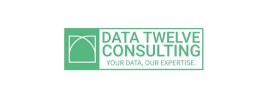Logo data twelve consulting